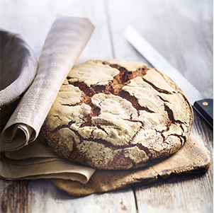 Fedipat | catalogue bread